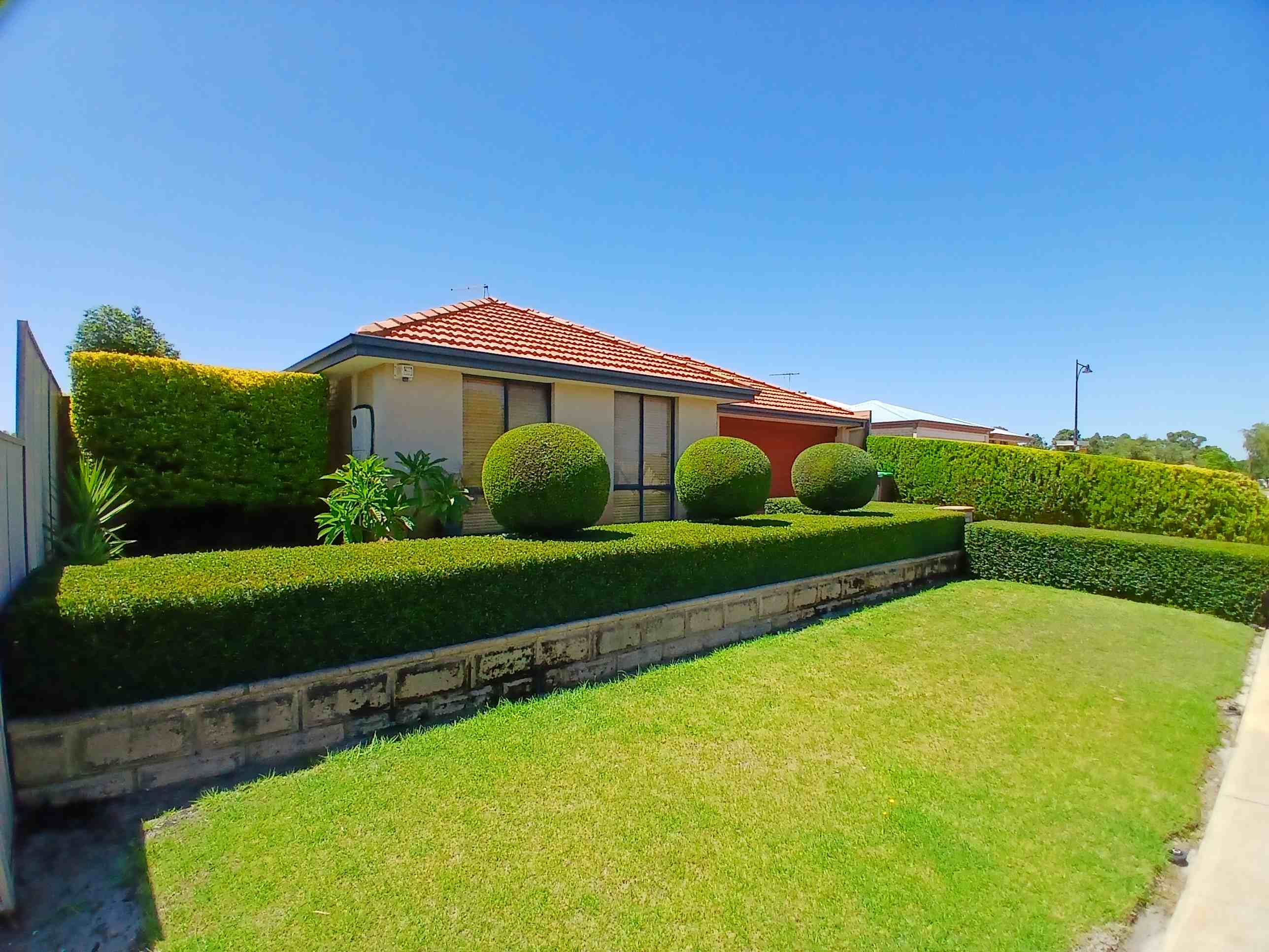 Manicured hedges and topiary along a Perth home frontage